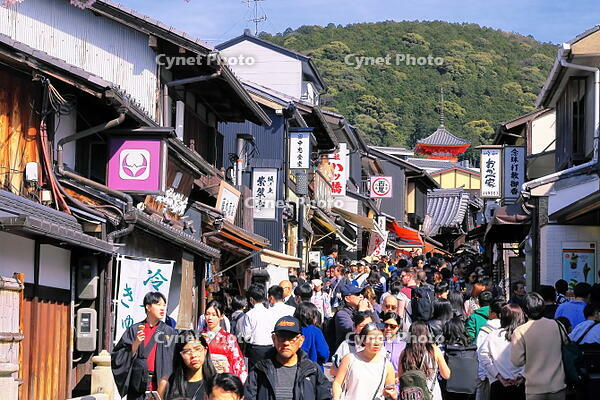 春の清水寺への参道のにぎわい [THI110053355]