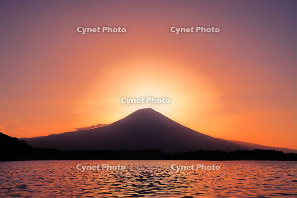 日の出前の富士山と田貫湖　 [THI110053357]