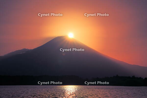 日の出前の富士山と田貫湖　 [THI110053358]