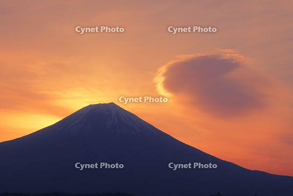 日の出前の富士山と田貫湖　 [THI110053359]