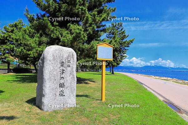 粟津の青嵐と湖岸の道路 [THI110053372]