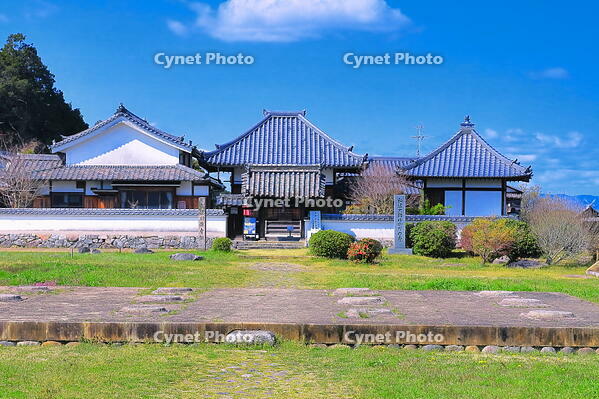 春の川原寺跡 [THI110053390]