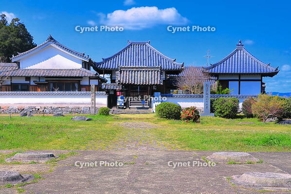 春の川原寺跡 [THI110053391]