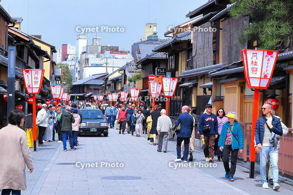 春の祇園の花見小路　 [THI110053393]