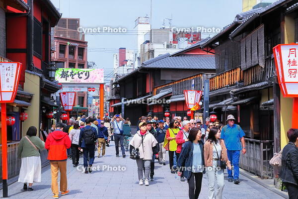 春の祇園の花見小路　 [THI110053395]