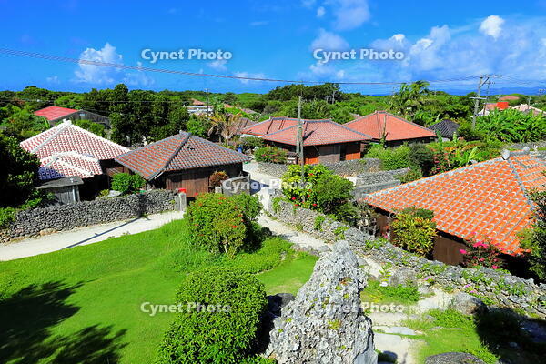 竹富島の赤レンガの家並み [THI110053400]