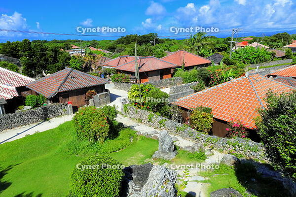 竹富島の赤レンガの家並み [THI110053401]