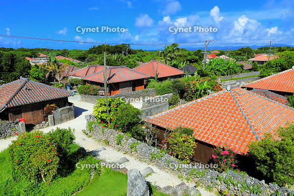 竹富島の赤レンガの家並み [THI110053405]