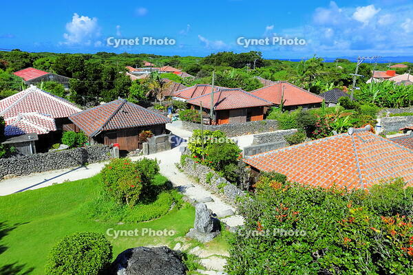 竹富島の赤レンガの家並み [THI110053407]