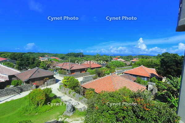 竹富島の赤レンガの家並み [THI110053409]