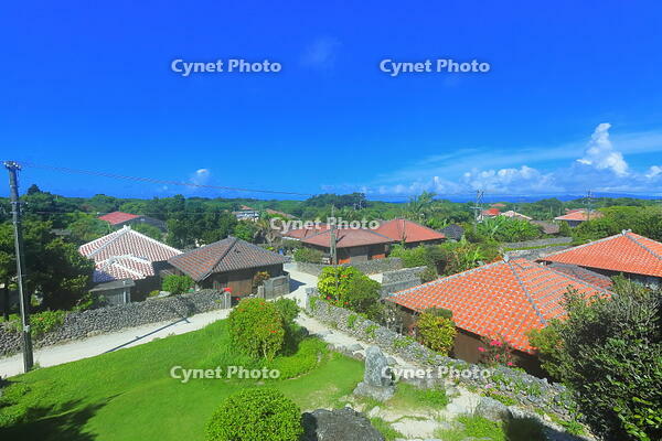 竹富島の赤レンガの家並み [THI110053410]