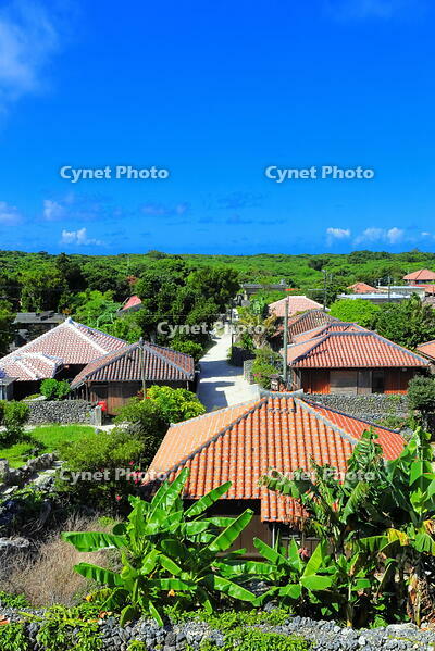 竹富島の赤レンガの家並み [THI110053411]