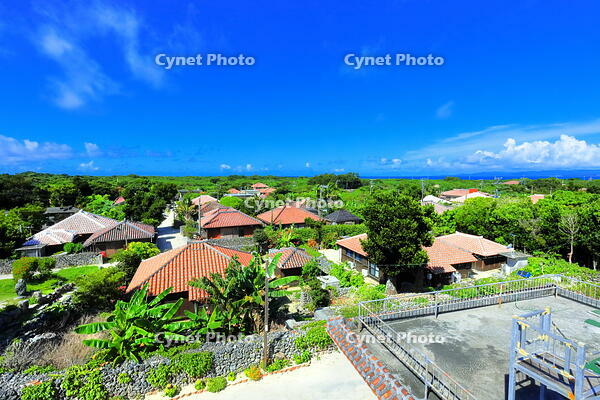 竹富島の赤レンガの家並み [THI110053412]