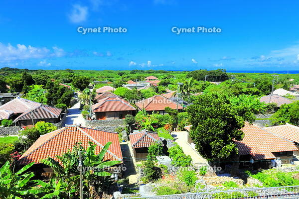 竹富島の赤レンガの家並み [THI110053413]