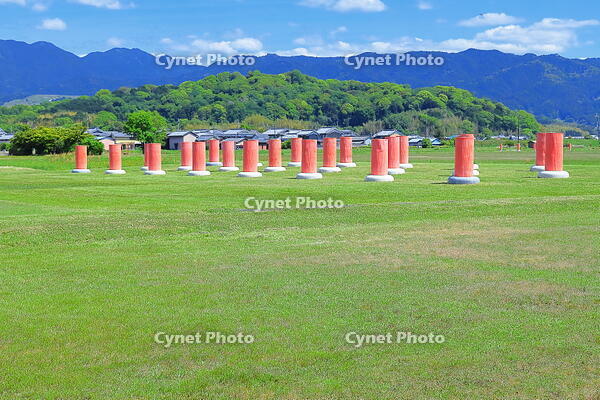 緑の芝生の藤原宮跡の列柱と香具山　 [THI110053414]