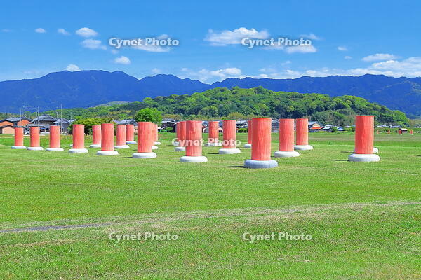 緑の芝生の藤原宮跡の列柱と香具山　 [THI110053415]