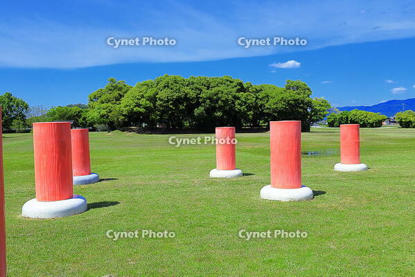 緑の芝生の藤原宮跡の列柱と新緑の大極殿跡 [THI110053418]
