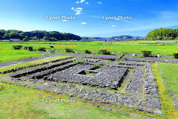 新緑の飛鳥宮跡 [THI110053419]