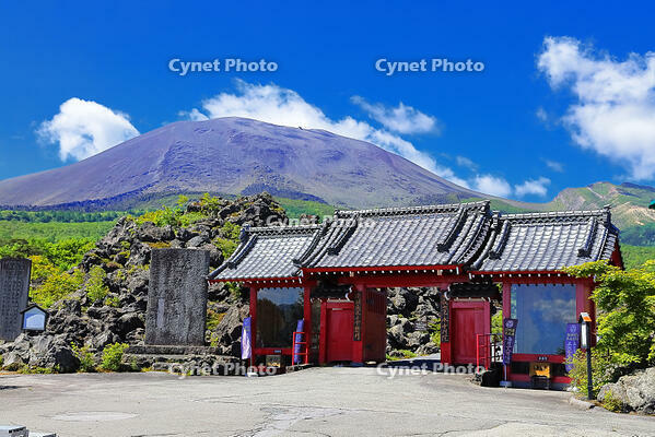 浅間山の麓に広がる溶岩の鬼押出し園 [THI110053420]