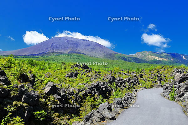 浅間山の麓に広がる溶岩の鬼押出し園 [THI110053421]