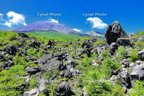 浅間山の麓に広がる溶岩の鬼押出し園 [THI110053422]