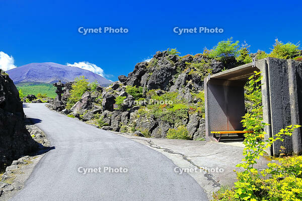浅間山の麓に広がる溶岩の鬼押出し園 [THI110053423]