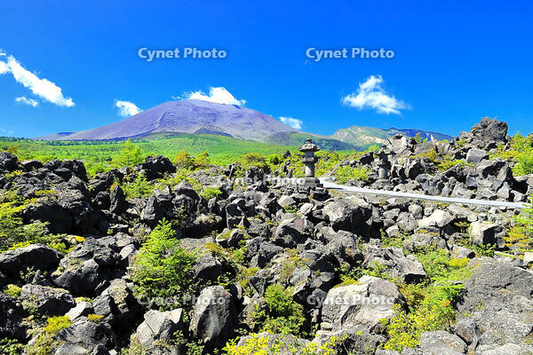浅間山の麓に広がる溶岩の鬼押出し園 [THI110053424]