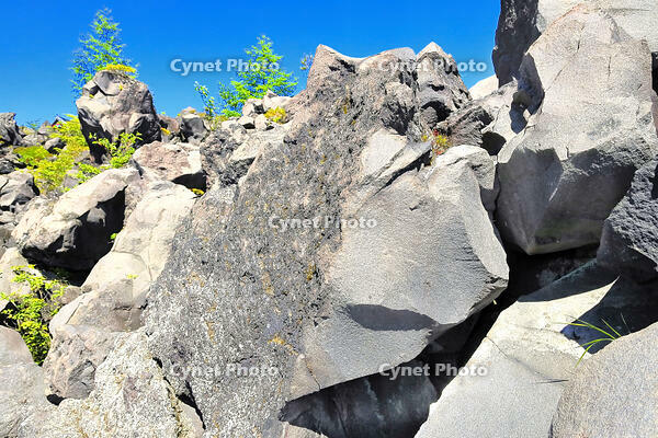 浅間山の麓に広がる溶岩の鬼押出し園 [THI110053425]