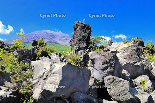 浅間山の麓に広がる溶岩の鬼押出し園 [THI110053426]