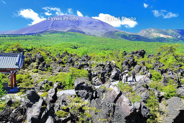 浅間山の麓に広がる溶岩の鬼押出し園 [THI110053429]