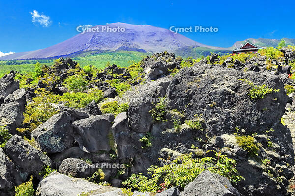 浅間山の麓に広がる溶岩の鬼押出し園 [THI110053430]