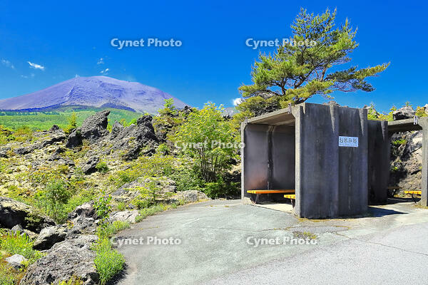 浅間山の麓に広がる溶岩の鬼押出し園 [THI110053431]
