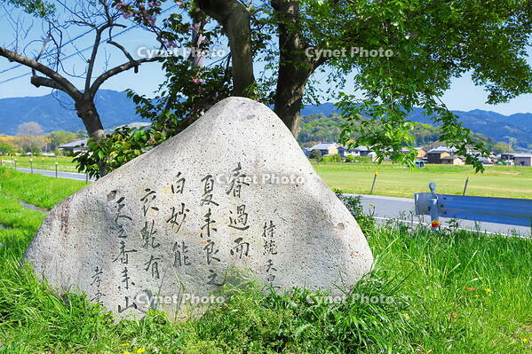 持統天皇の万葉歌　 [THI110053434]