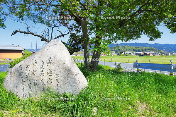 持統天皇の万葉歌　 [THI110053435]