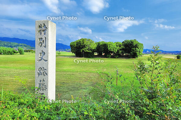 特別史跡藤原京跡の石碑 [THI110053436]