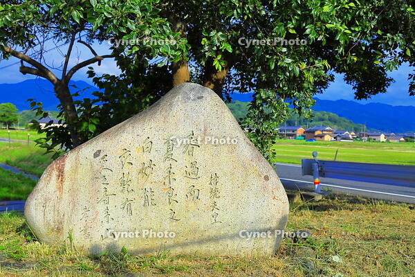 持統天皇の万葉歌　 [THI110053437]