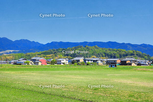 藤原京跡からみた天の香具山 [THI110053438]