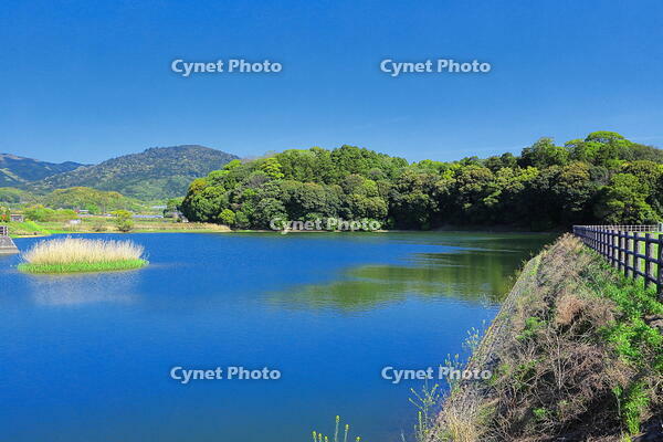 箸墓古墳と三輪山　 [THI110053444]