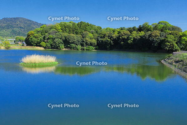 箸墓古墳と三輪山　 [THI110053447]