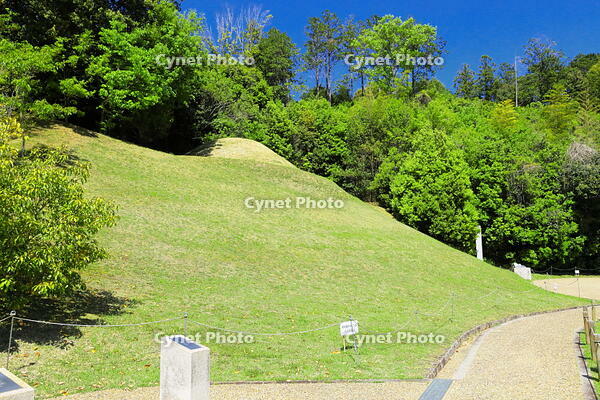 新緑のキトラ古墳　 [THI110053448]