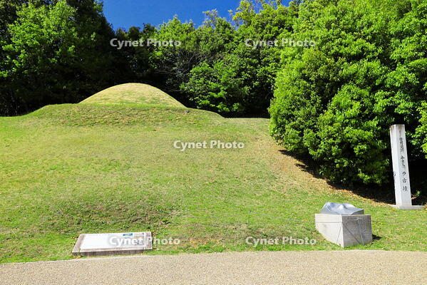 新緑のキトラ古墳　 [THI110053449]