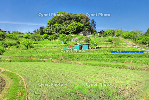 新緑の天武・持統天皇陵古墳 [THI110053450]