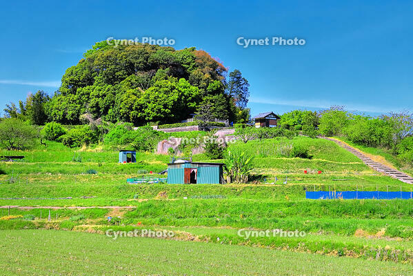 新緑の天武・持統天皇陵古墳 [THI110053451]