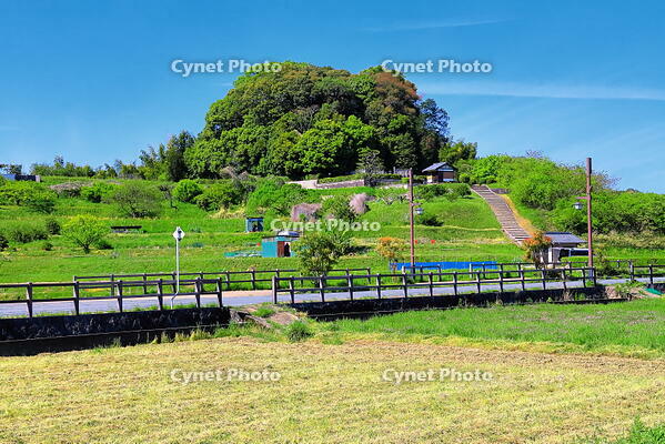 新緑の天武・持統天皇陵古墳 [THI110053452]