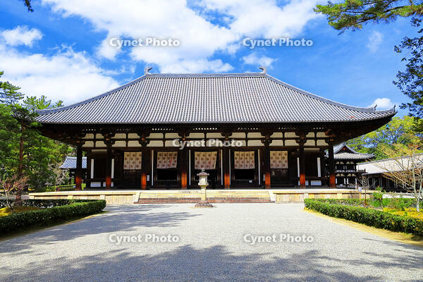 春の唐招提寺 [THI110053458]