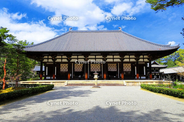 春の唐招提寺 [THI110053459]