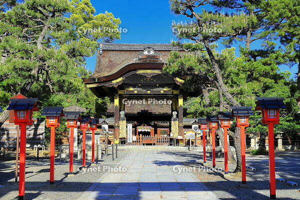 新緑の豊国神社 [THI110053519]