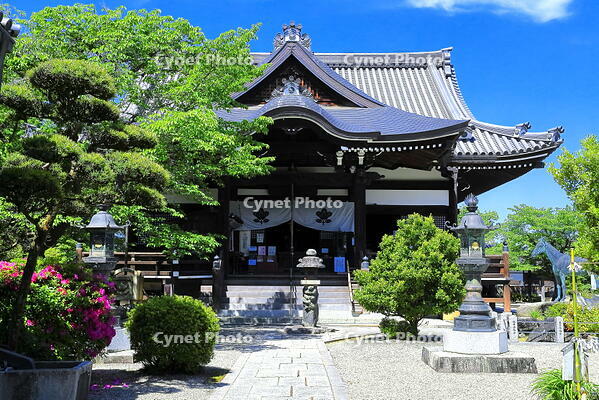 聖徳太子建立の新緑の橘寺 [THI110053520]
