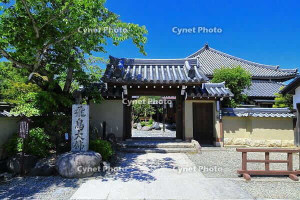 新緑の飛鳥寺 [THI110053522]