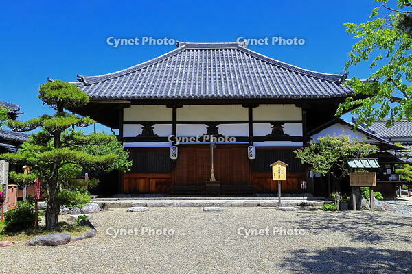 新緑の飛鳥寺 [THI110053523]